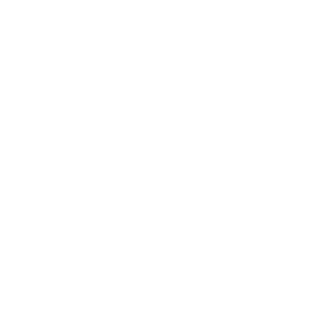 Daily Internship