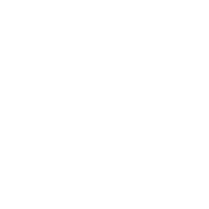 Junior Enterprises Italy