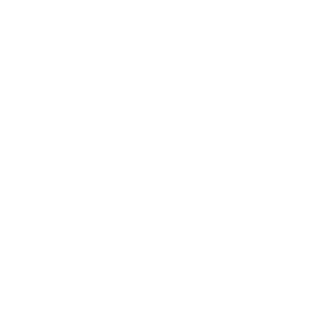 M.E.P. Italia