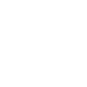 Venice Calls