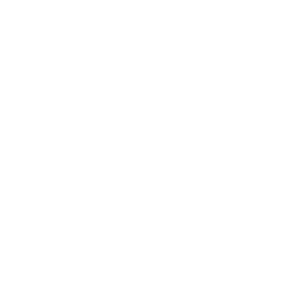 Young Ethos